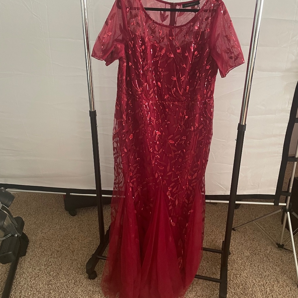 Ever pretty red evening gown (read description)